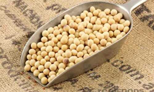 Soya Beans Sambar Recipe – Awesome Cuisine