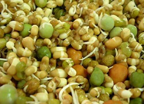 ஸ்வீட் கார்ன் ஸ்ப்ரவுட்ஸ் சாலட் - Sweet Corn and Sprouts Salad Recipe in Tamil