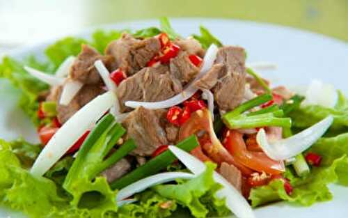 Thai Beef Salad Recipe – Awesome Cuisine
