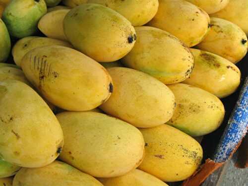 The Incredible Varieties of Mango