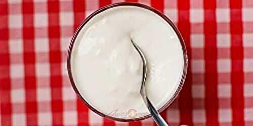 A Delicious Guide to Yoghurt: Types, Benefits, Recipes, and More
