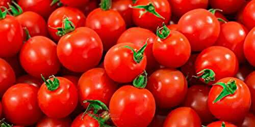 From Pasta to Salsa: Exploring the Endless Wonders of the Tomato