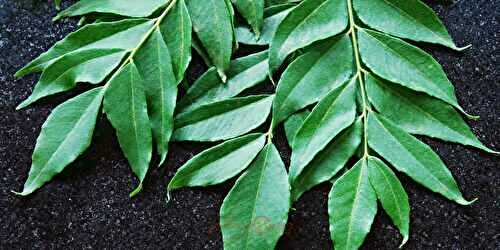 The Secret Ingredient: Unlocking the Flavors of Curry Leaves in Your Cooking
