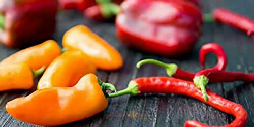 A Beginner’s Guide to Chillies, It’s Different Types and How to Use Them