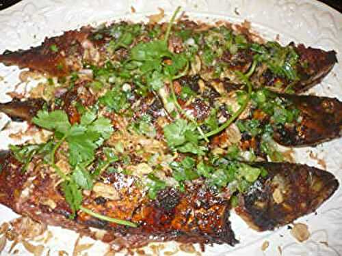 Vietnamese Grilled Fish