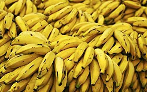 Health Benefits of Banana: What Ripe, Raw and Flower Each Bring to Your Plate