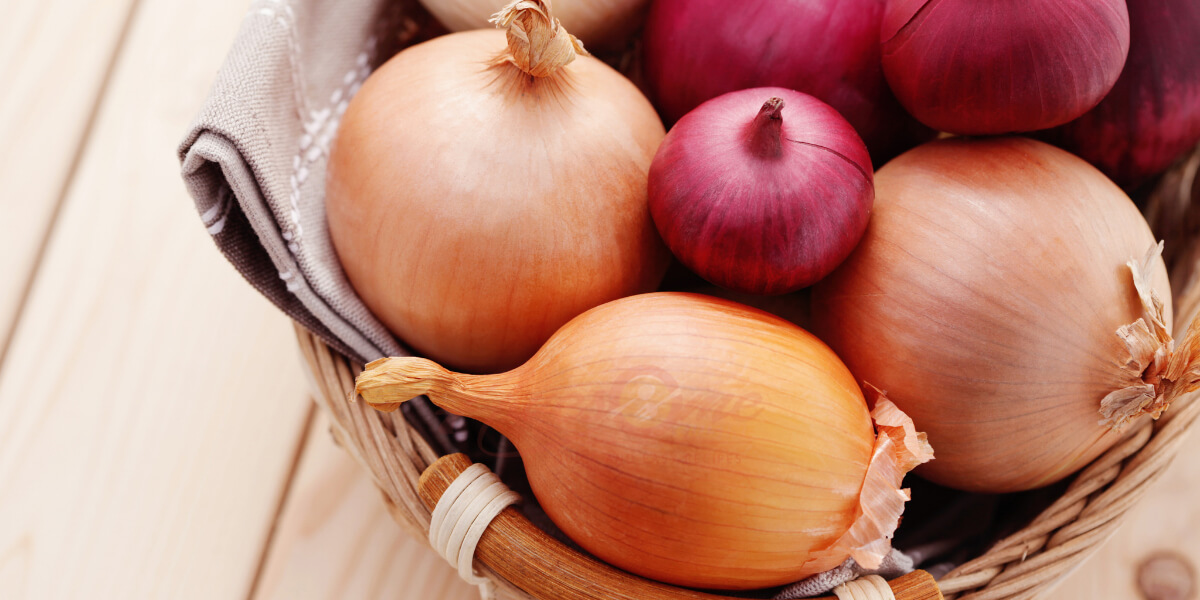 Is Onion a Herb? What the Kitchen Calls It and What Botany Says