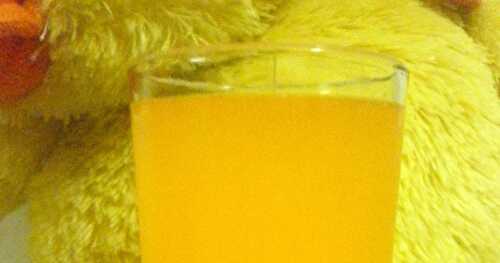 Orange Squash/Juice |  Summer Drink
