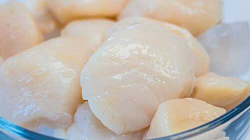 How to Select, Store, Clean, Freeze the BEST Fresh or Frozen Scallops!