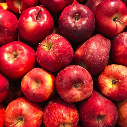 The Ultimate Guide For How To Store Apples & Keep Them Fresh Longer!