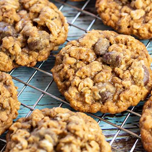 Oatmeal Raisinet Cookies