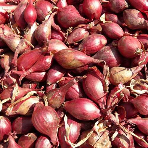 Shallots Substitute: Best Options & How to Use Them
