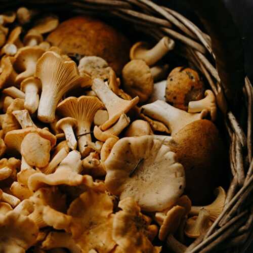 Mushrooms For Risotto