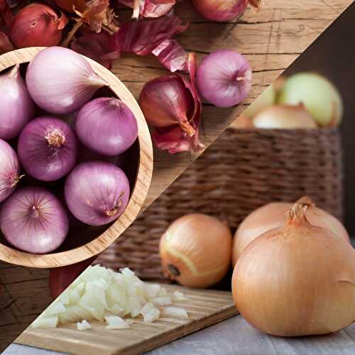 Shallots vs Onions: Differences, Similarities & How To Use Each Best!