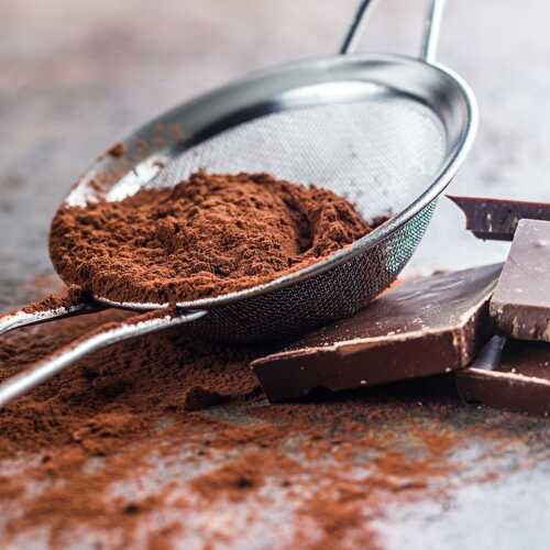 Best Cocoa Powder Substitute