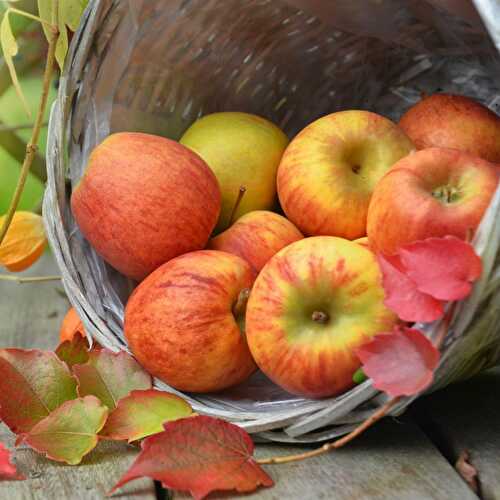 Best Apples For Apple Crisp: Apple Crisp Recipe
