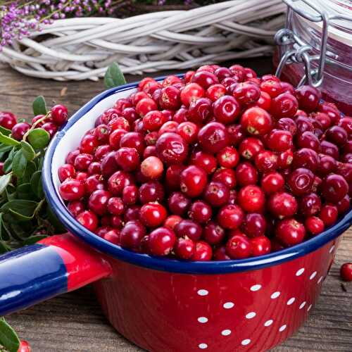 Best Lingonberry Jam Substitute: Currants & Cranberries (+ More Tasty Alternatives!)