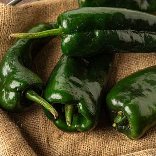 Best Poblano Pepper Substitute: Bell Peppers (+ MoreGreat Alternatives To Use!)