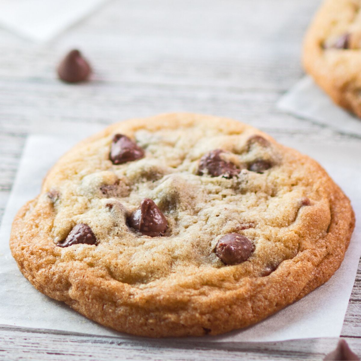 Ultimate Guide To Chocolate Chip Cookies: Small Batch Chocolate Chip Cookies (+Tips, Tricks, & More!)