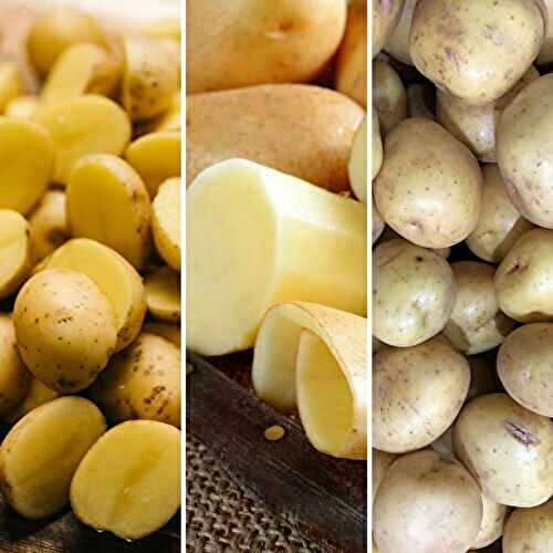 Yukon Gold vs Yellow Potatoes vs Gold Potatoes