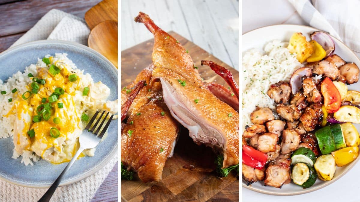 Summer Family Dinner Ideas: Smoked Duck (+More Delicious Recipes!)
