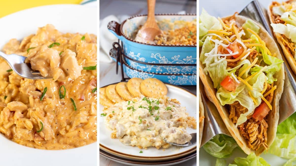 Best Shredded Chicken Recipes: Chicken Bacon Risotto (+More Tasty Chicken Dinners!)