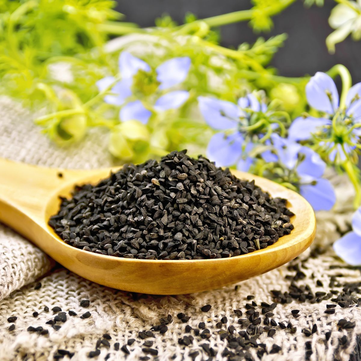 Nigella Seed Substitute