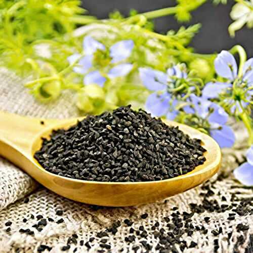 Nigella Seed Substitute