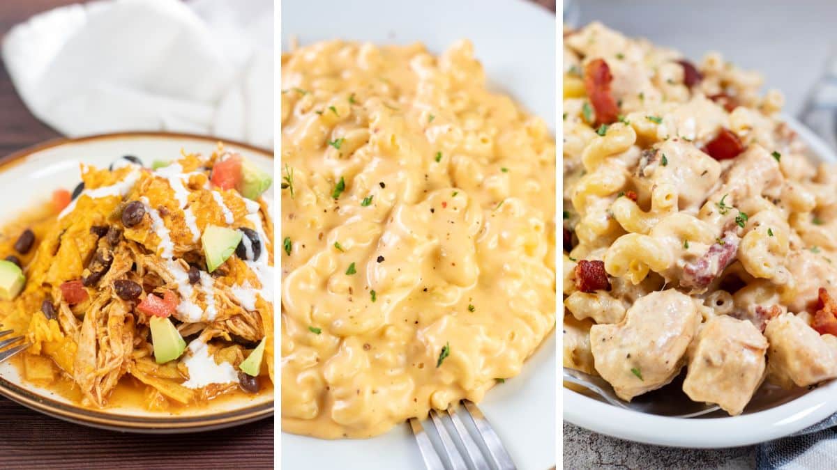 Best Crockpot Casserole Recipes: Crockpot Chicken Enchilada Casserole (+More Slow Cooker Dinners!)