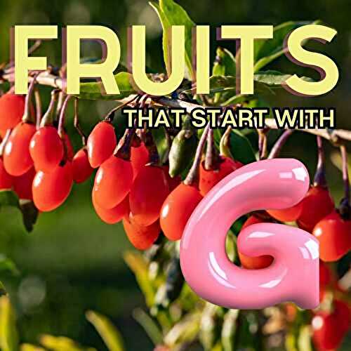 Fruits That Start With G: 39+ Fruits Beginning With G