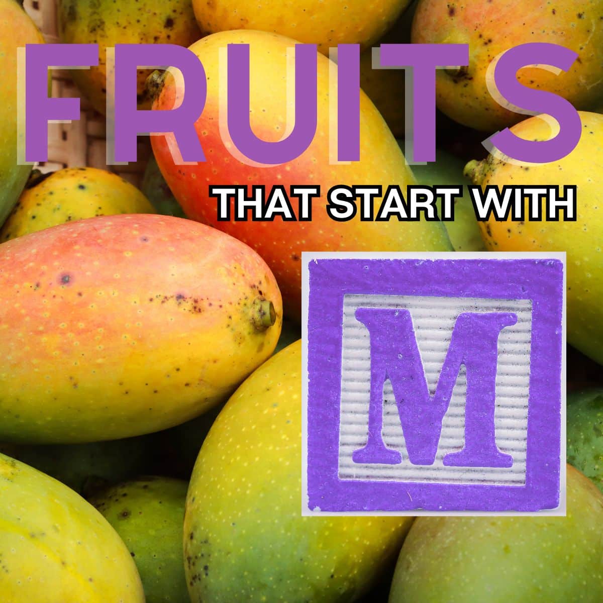 Fruits That Start With M (61+ Fruits Beginning With M!)