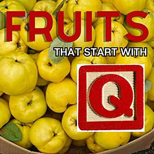 Fruits That Start With Q: 9+ Fruits To Try Today!