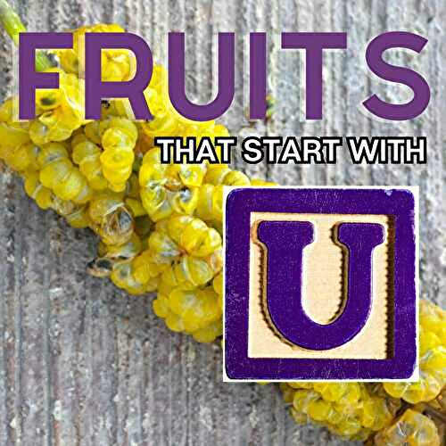 Fruits That Start With U: 20+ Fruits To Try Today!