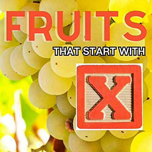 Fruits That Start With X: 10+ Tasty Fruits To Try Today!