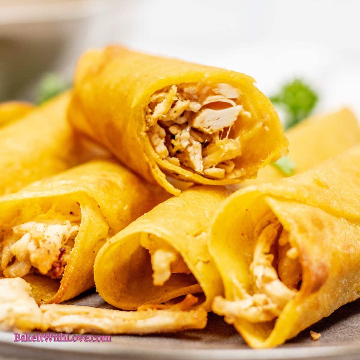Rotisserie Chicken Taquitos