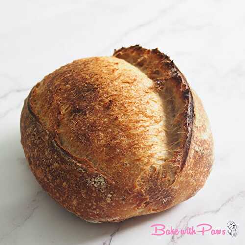 Basic Open Crumb Sourdough Bread (Medium Hydration)