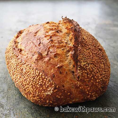 Multi Seed Open Crumb Sourdough Bread