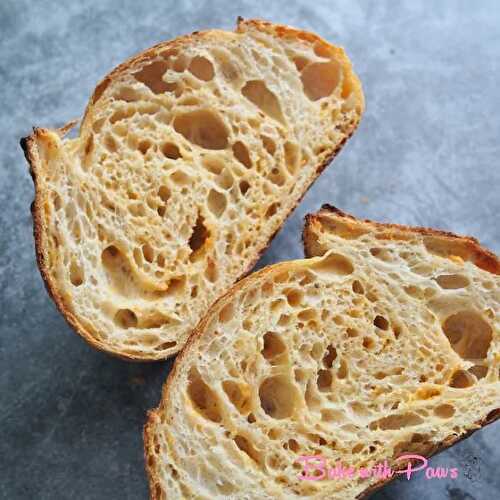 Orange Sweet Potato Open Crumb Sourdough Bread