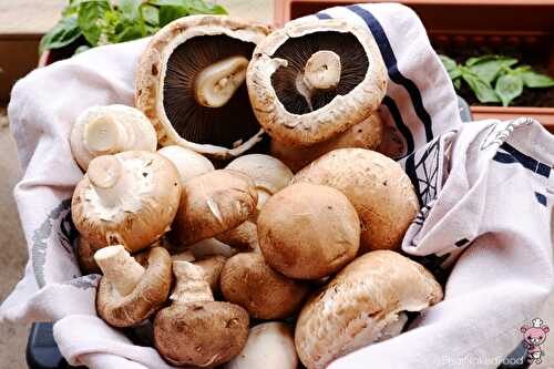 All about MUSHROOMS