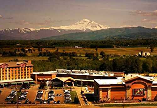 Greatest probability of successful jungle spirit name of one’s crazy Totally free Revolves Zero-deposit Incentives British for January 2026