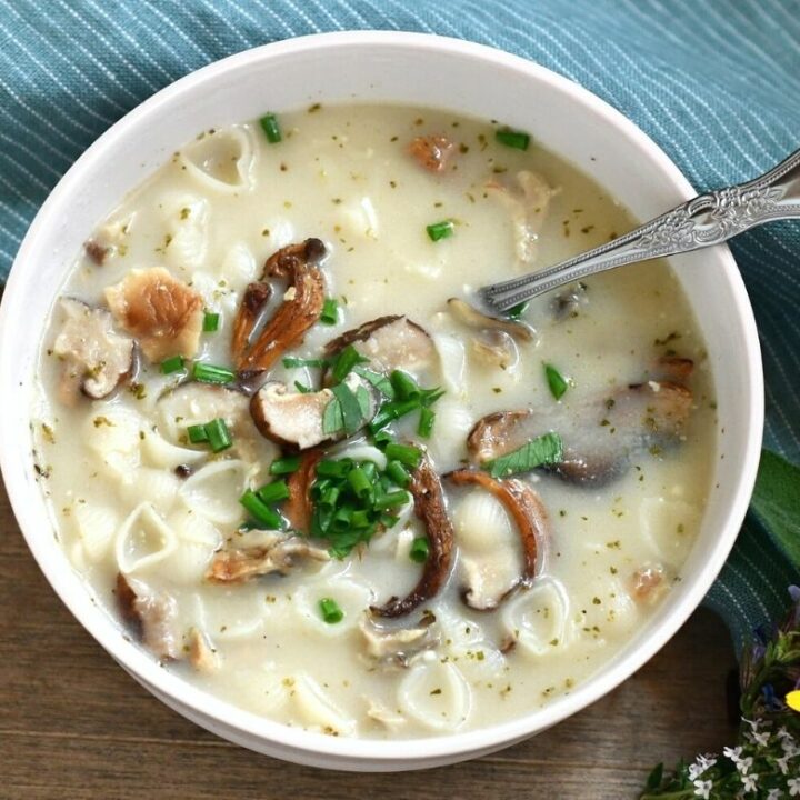 Instant Cream Of Mushroom Soup