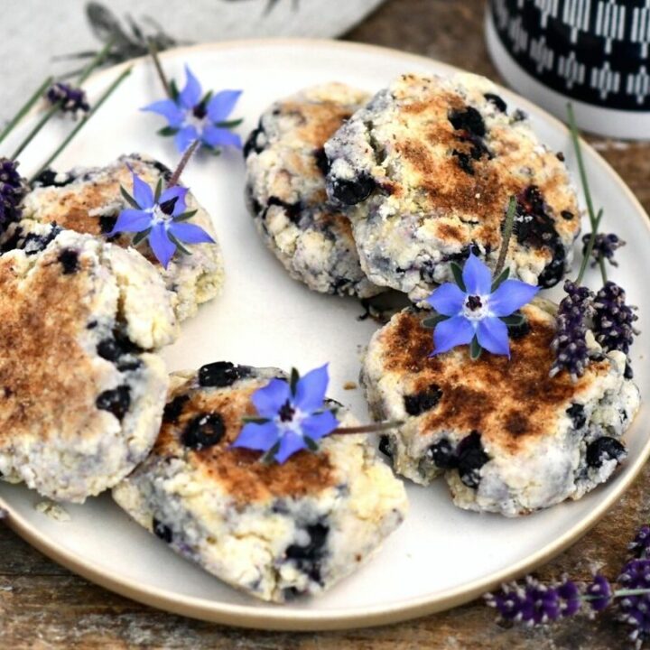 Salal Berry Scones