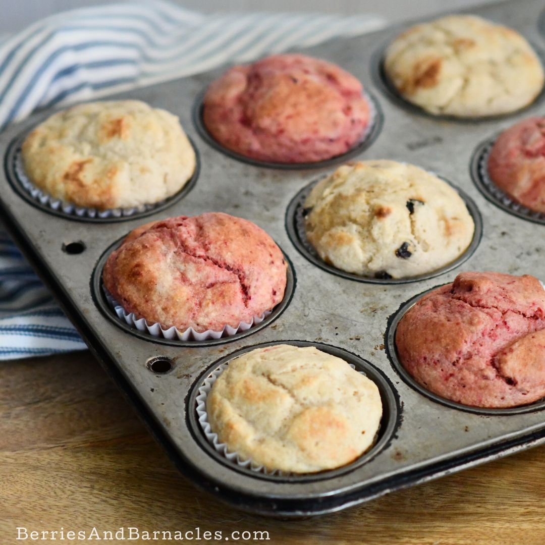 Quick Flavored Yogurt Muffins