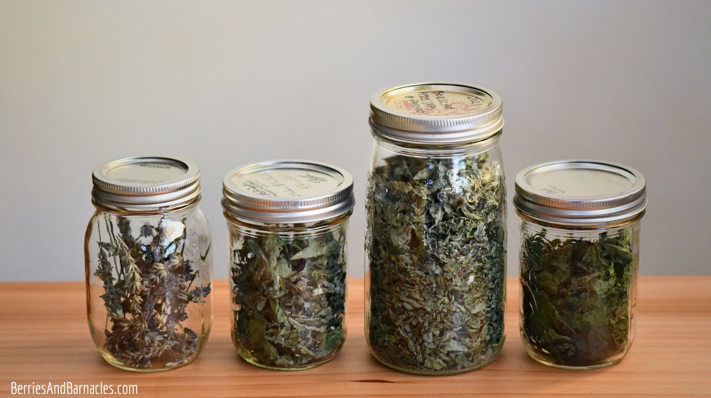 The Easiest & Tastiest Way To Dry Herbs (Paper Bag Method)