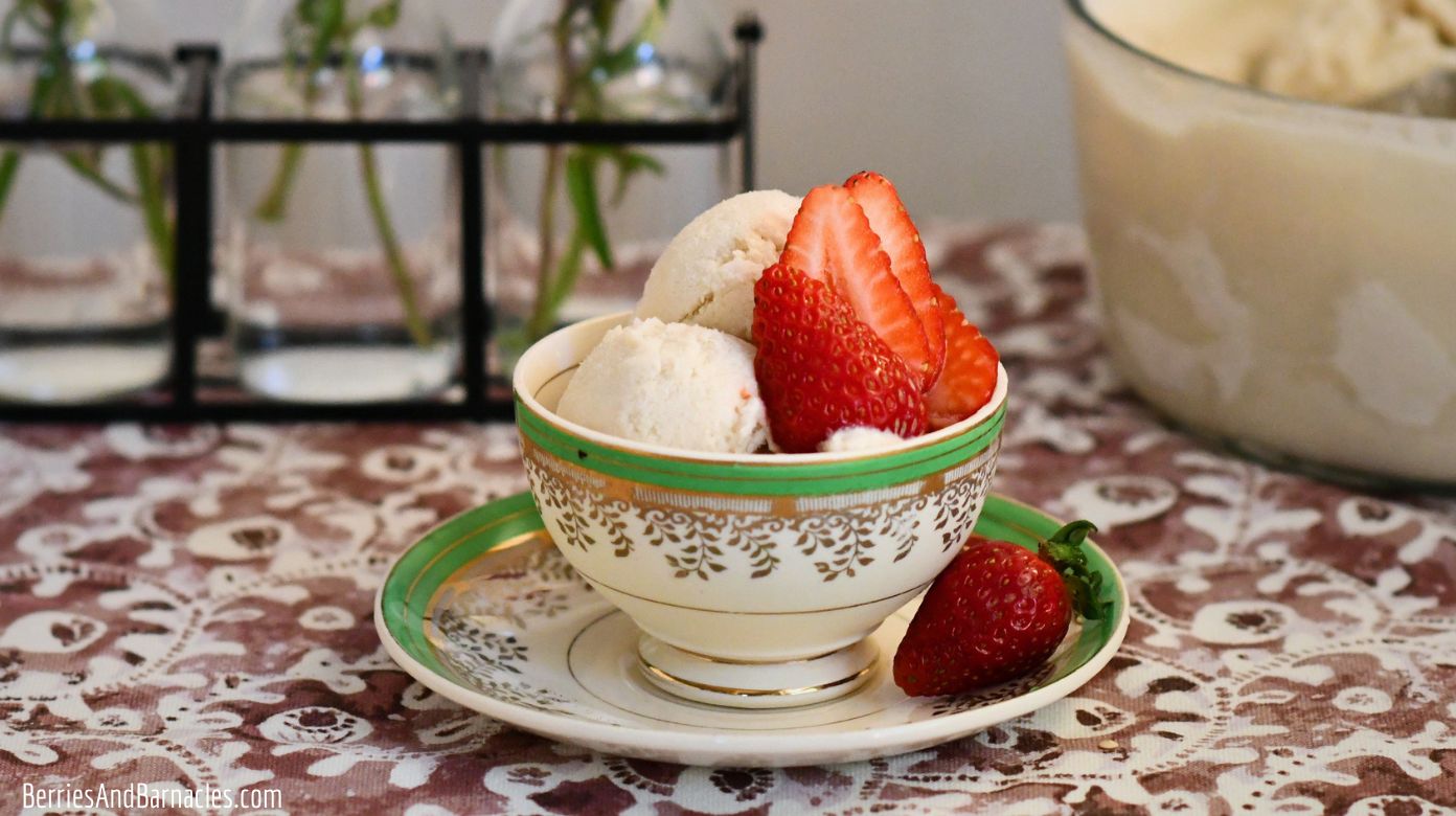 Honey Banana Blender Ice Cream