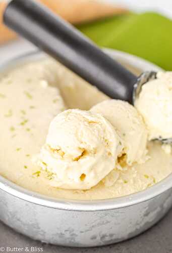 Creamy Pina Colada Ice Cream (Dairy-Free)
