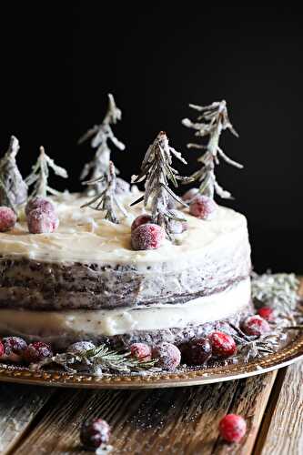 Chocolate Winter Wonderland Naked Cake with Vanilla Mascarpone Icing.