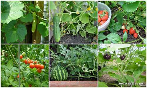 Kitchen Garden  | Vegetable Garden