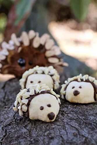 Hedgehog Cookies...Almost Too Cute to Eat!