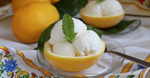 Lemon Ice Cream (Quick and Easy Blender Recipe)
